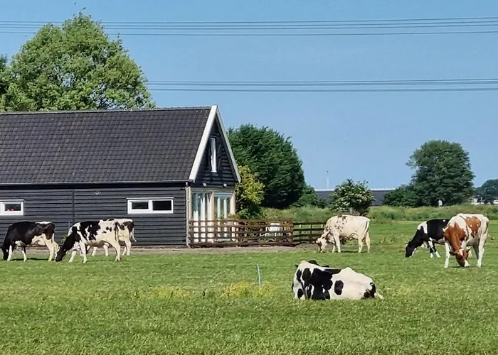 Farmers Lodge, A With A Skyline View In Rural Vakantiehuis *